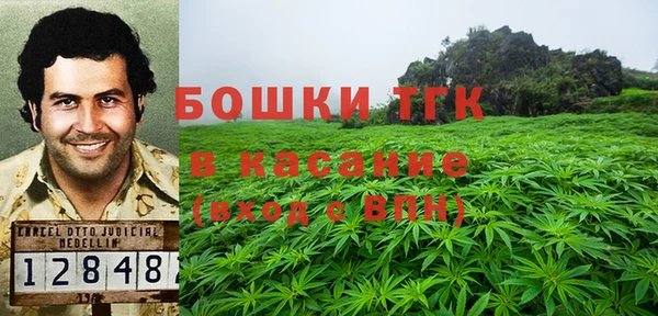 шишки Белоозёрский