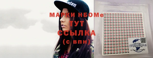 шишки Белокуриха