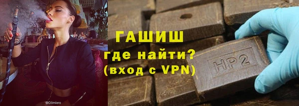 шишки Белокуриха