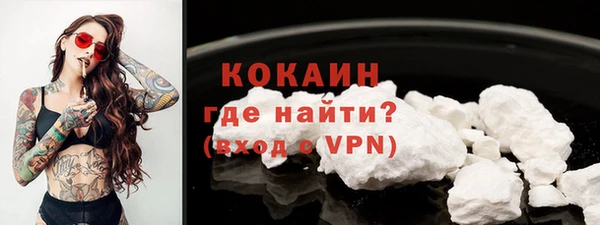 шишки Белокуриха