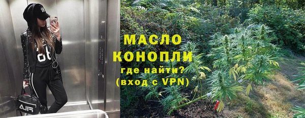 тгк Богородицк