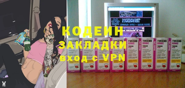 шишки Белоозёрский