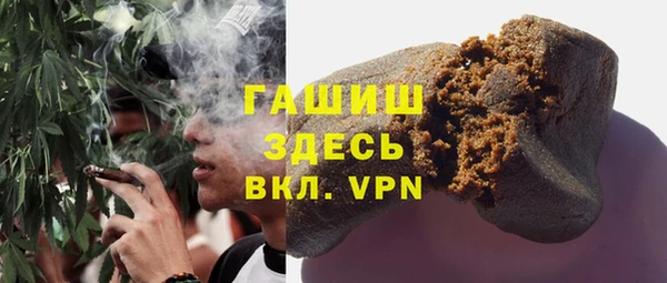шишки Белокуриха
