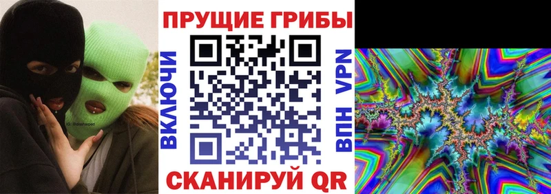 Псилоцибиновые грибы ЛСД Сосновый Бор
